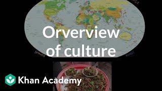 Overview of culture  Society and Culture  MCAT  Khan Academy