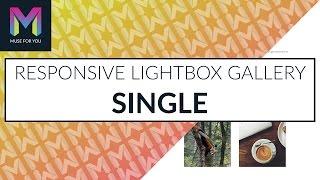 Responsive Lightbox Gallery Single  Update 1.5  Adobe Muse CC  Muse For You