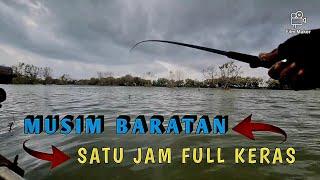 Satu jam full keras  gak peduli musim baratan  mancing belanak terbaru