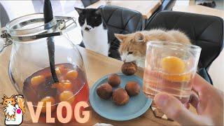 Homemade Japanese Plum Juice and Donuts  Cooking vlog