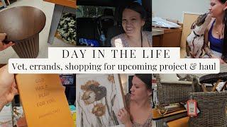 SUMMER VLOG Decor Shopping vet appointment  upcoming project Day in the life 