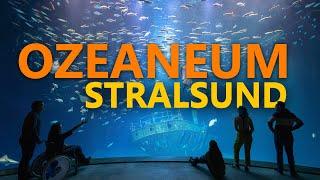 Ozeaneum Stralsund - Mehr als ein Aquarium  Zoo-Eindruck