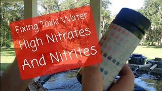 Fixing a nitrite and nitrate spike in the tilapia pond.