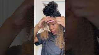 This is your next hairstyle  Ombré Afro Spring Twists #protectivestyles #springtwist #shorts