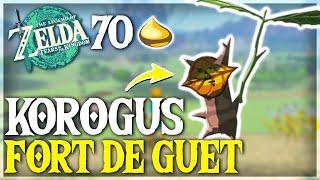 Toutes les NOIX KOROGU du Fort de Guet Zelda Tears of the Kingdom - TUTO ZELDA TOTK