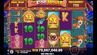 Dog house KURATORdan supper kambek #slotsonline