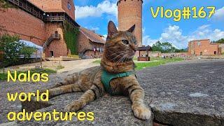 Nala walking around Turaida Castle  Vlog #167