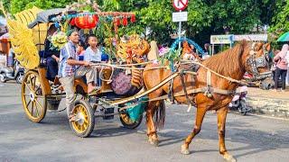 KUDA  KUDA DELMAN - NAIK KUDA  LAGU SELAMAT ULANG TAHUN BALONKU ADA LIMA DAN WHEELS ON THE BUS