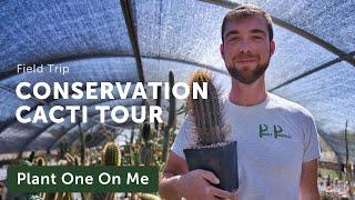 Prickly Prospects CACTI & SUCCULENT Nursery Tour — Ep. 326