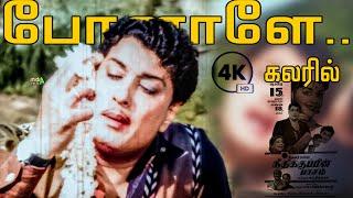 போனாளே Ponaley Song -4K HD Video  #mgrsongs #tamiloldsongs