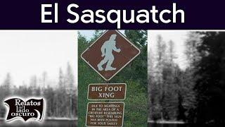 Un encuentro con Sasquatch  Pie grande   Relatos del lado oscuro
