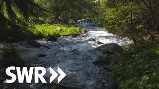 Südtirol Gardasee Adria - die Etsch  SWR Geschichte & Entdeckungen