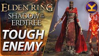 Elden Ring DLC - Tough Enemy - Fire Knight Necromancer - Shadow Keep Church District