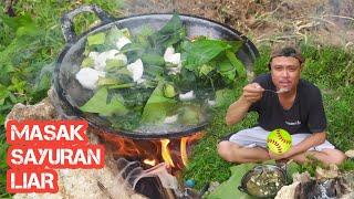 Bertahan hidup masak sayuran liar yang tumbuh di kebun