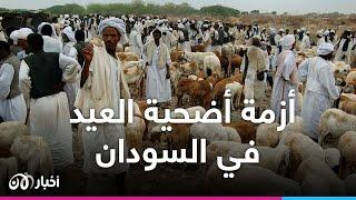 ما هو وضع أضحية العيد في ظل اشتباكات السودان؟