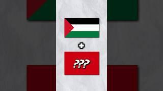 Menggabungkan bendera Palestina dengan bendera negara lain #shorts
