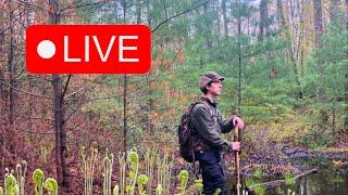 HAPPY ON THE FLY OUTDOORS LIVE STREAM {Q & A}