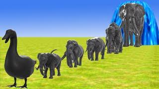 Paint Animals Elephants and Mammoths Size Comparison Fountain Crossing Animal Transformation Cartoon