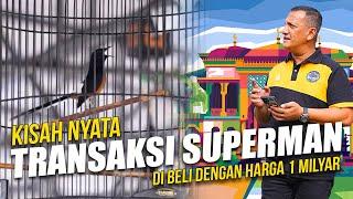 Kisah Nyata Pembelian Superman Burung Maha Super Istimewa Seharga 1 Milyar