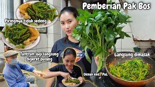 LAGI² TANTRUM DI TEMPAT UMUM⁉️ UENAK E POL️ EKS3KUSI SAYUR PEMBERIAN MAJIKAN