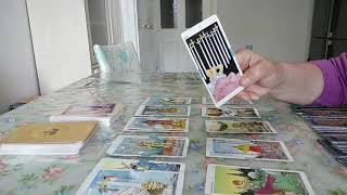 Aslan Burcu 2023 Temmuz ayı Tarot yorumu. Endişe verici bir şey yok.