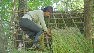 GIRL SOLO LIVING OFF GRID BUILDING HER OWN LITTLE HOUSE IN THE WILD BY ANCIENT SKILLS