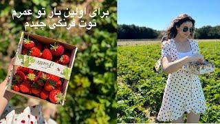 رفتیم مزرعه توت فرنگی برای اولین بارخوشمزه ترین توت های عمرم رو خوردم