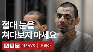 엘살바도르 초대형 교도소 세코트의 갱단원 수감자들 - BBC News 코리아