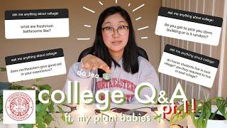  northeastern university Q&A pt. 1  college stats applying to northeastern college Q&A & more 