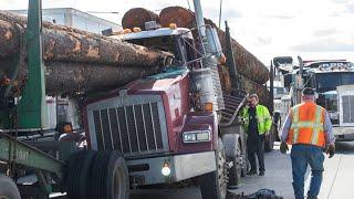 Crazy IDIOT Logging Truck FAIL Compilation - Insane Dangerous Heavy Truck Crashing