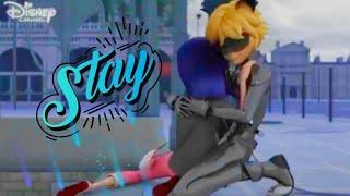 Stay-Miraculous Ladybug Amv