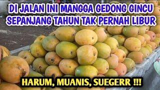 Mangga Gedong Gincu Cirebon Harum Manis Segerrrr 