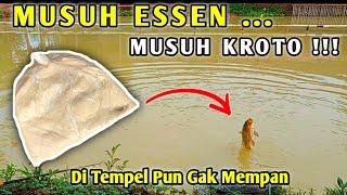 UMPAN PENANGKAL ESSEN ‼️ Ikan Gak Mau Kemana Mana Betah & Cepat Kumpul  Racikan Umpan Ikan Mas