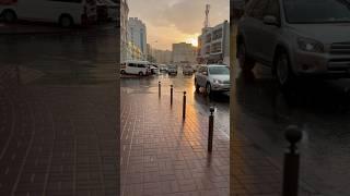 Rain In Doha - #youtubeshorts #qatar #rain #doha #winter #shorts