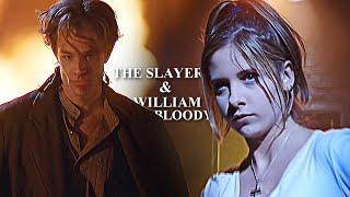 The Slayer & William the Bloody  Their Journey btvs