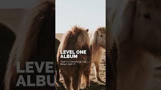 Album LEVEL ONE - Preview 08