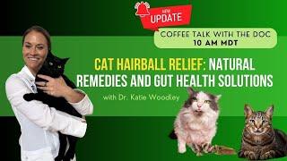 Cat Hairball Relief Natural Remedies and Gut Health Solutions - Holistic Vet Advice