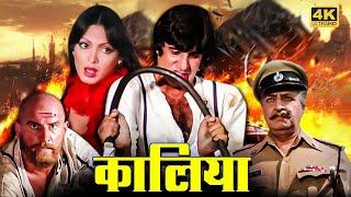 Vintage Amitabh Bachchan Action Movie - Kaalia 1981 -  Parveen Babi Kader Khan Amjad Khan Pran