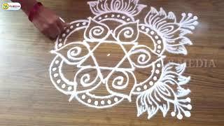 geethala muggulu 34 rangoli  sankranthi muggulu  rangoli designspadi kolam  kolam 