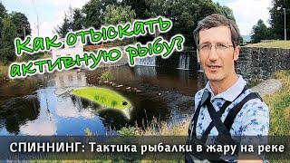 Рыбалка в жару на спиннинг. Сложно ли найти активную рыбу на микро речке? Ловля на воблер летом