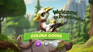 How to Breed Golden Goose Marchs Dragon of the Month