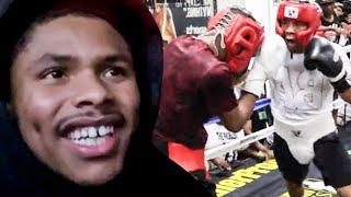 Shakur Stevenson WATCHES Gervonta Davis vs Devin Haney FULL SPARRING BREAKS DOWN Who got the BETTER