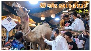 উট লাইভ Sold 2023  Camel Live Sold at sadeeq agro 2023  The Taste Ranger