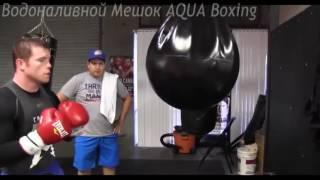 Тренировка на Водоналивном Мешке AQUA Boxing