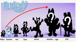 Bluey Heeler Growing Up Compilation  Cartoon Wow