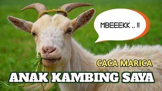 ANAK KAMBING SAYA CACA MARICA  Lagu Anak Indonesia Populer