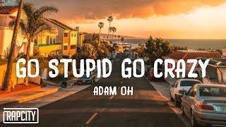 Adam Oh - GO STUPID GO CRAZY Lyrics