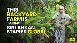 This Backyard Farm is taking Sri Lankan staples Global
