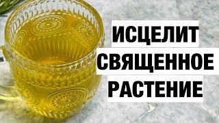 Забудьте о ПЛОХОМ САМОЧУВСТВИИ и ПЛОХОЙ ПАМЯТИ.Улучшает Слух Иммунитет