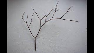 What to make from a branch?  #49